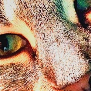 Meet your Posher, Danae